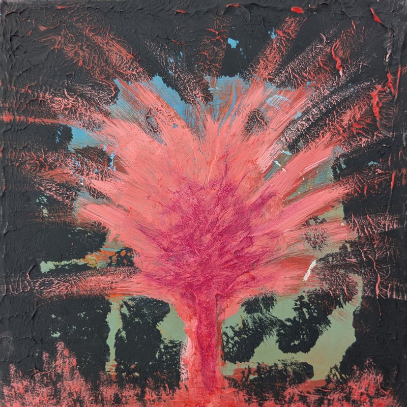 Eclosion de l'arbre