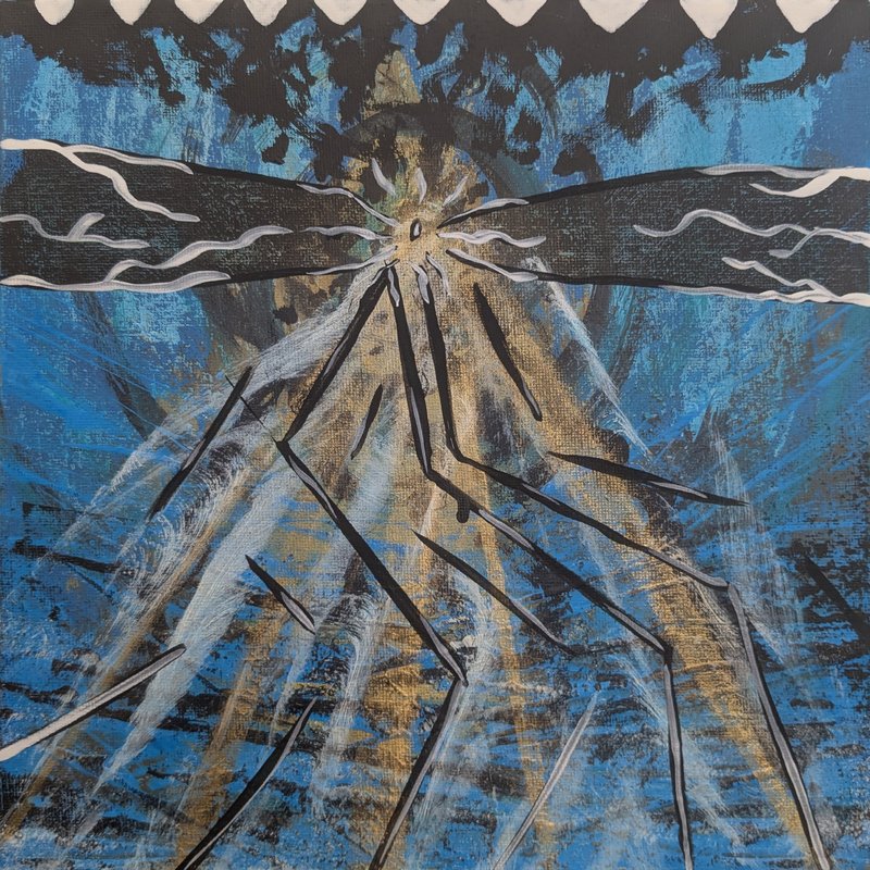 Un oeil sur la mer